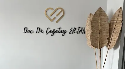 Dr. Çağatay Ertan