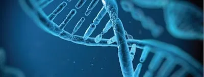 Abu Dhabi Stem Cells Center(ADSCC)