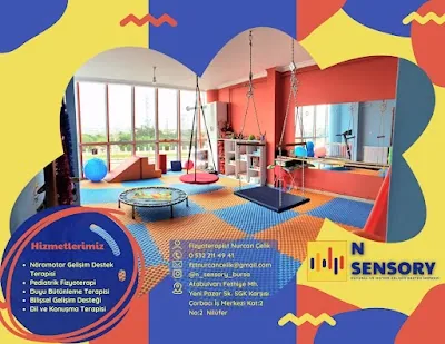 N SENSORY