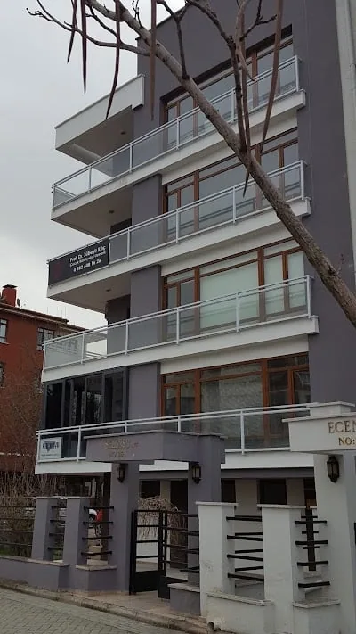 بروفيسور Zübeyir KILIÇ