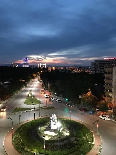 Manisa Sinerjim Psikolojik Hizmetler