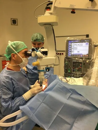 Prof. dr Yüksel Totan
