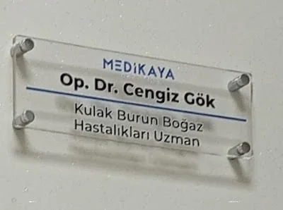 Cengiz Gök