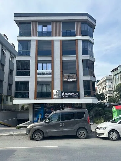 Dünya Tajik Kızıltoprak