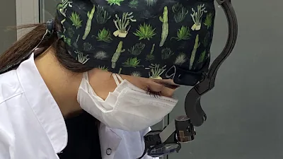 Dr. Seren Sürmeli Baran