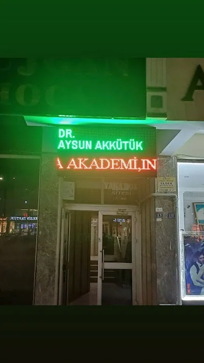 Dr Aysun Akkütük İŞ
