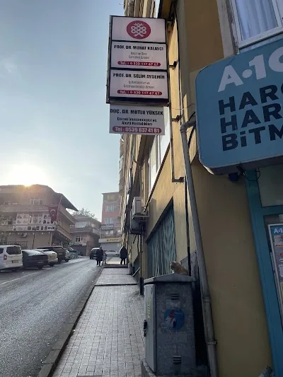 دانشیار Mutlu Yüksek