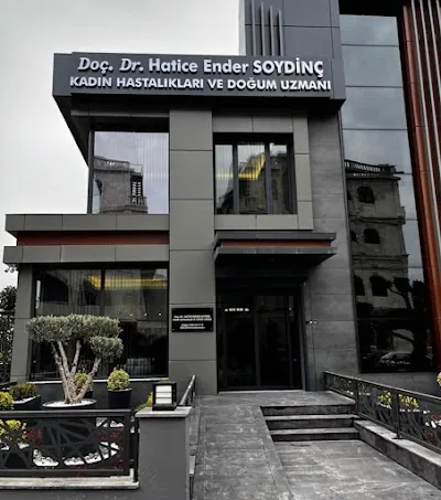 أستاذ مشارك Hatice Ender Soydinç