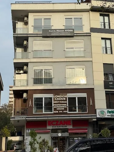 پروفسور Hasan Aydın