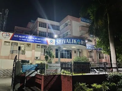 ACE Heart & Vascular Institute
