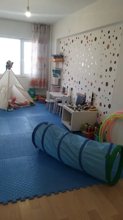 Punya Gelişimsel ve Pedagojik Danışmanlık
