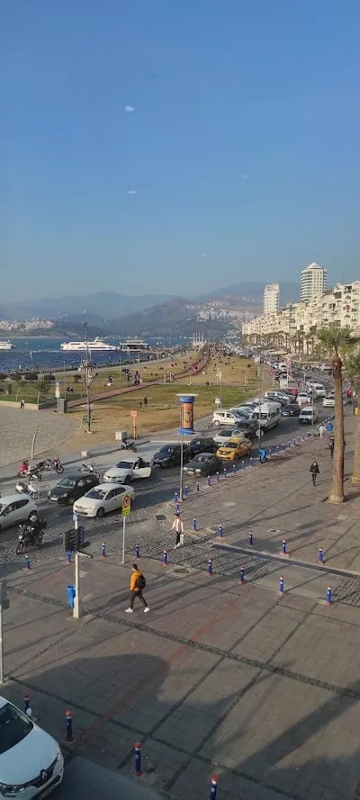 بروفيسور Mete Akısü