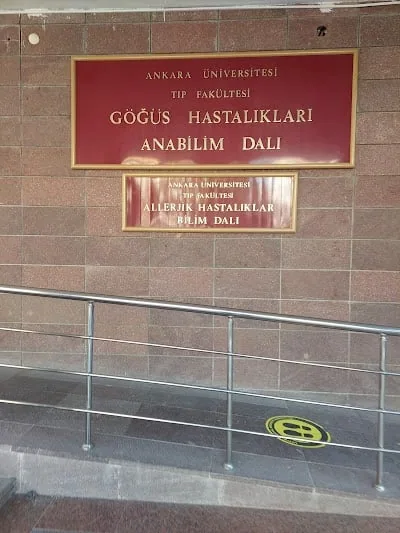 ANKARA ÜNİVERSİTESİ TIP FAKÜLTESİ ALLERJİK HASTALIKLAR BİLİM DALI