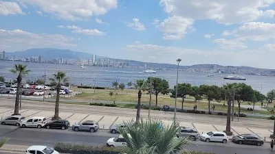 Д-р Mehmet Aksüt