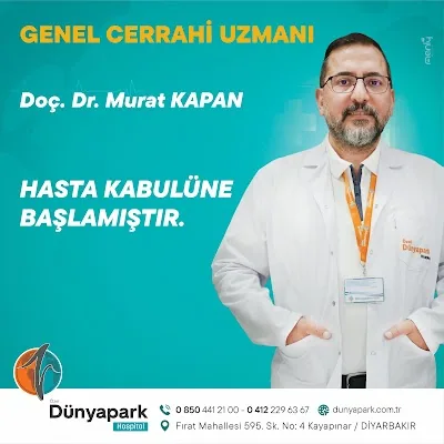 دانشیار Murat Kapan