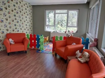 دانشیار Oya Baltalı Hıdır