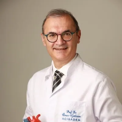 Проф. Öner Gülcan