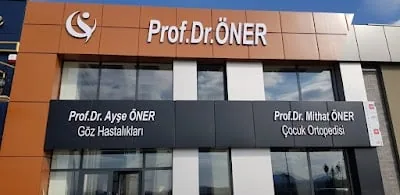 Prof. dr Ayşe Öner