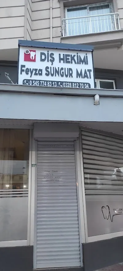 Diş Hekimi Feyza Sungur