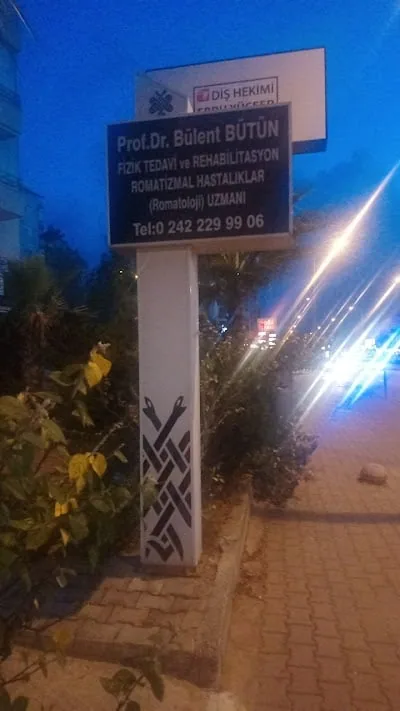 پروفسور Bülent Bütün