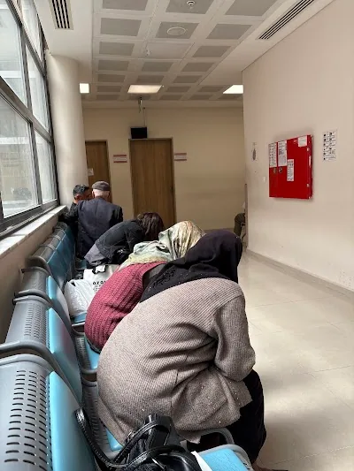 دانشیار Sibel Kabukçu Hacıoğlu