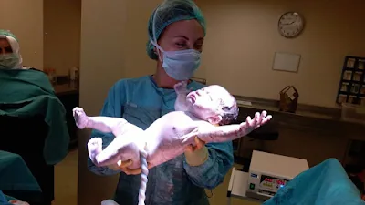 Op Dr Op Dr Ekin Fettahoğlu Ünlüer