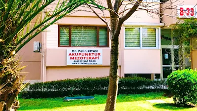 Д-р PELİN KIYAN Akupunktur