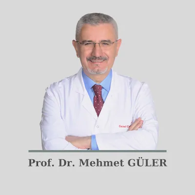 Prof. Mehmet GÜLER