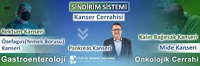 Prof. Dr. Mehmet Çağlıkülekçi