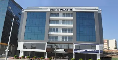 Prof .Dr. Ediz Dalkılıç İç Hastalıkları & Romatoloji