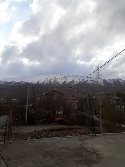 itlis il sağlık müdürlüğü