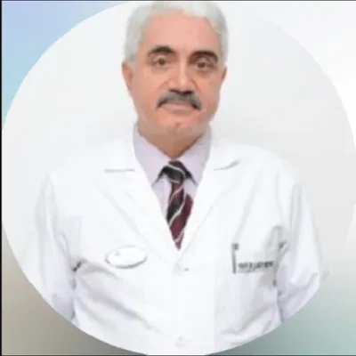 Prof. dr Ahmet Gödekmerdan