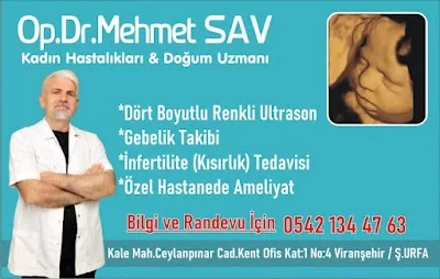 د. Mehmet Sav