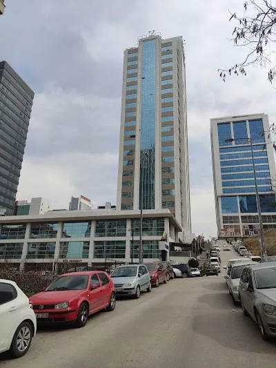 پروفسور İbrahim Doğan