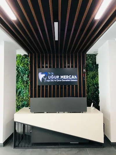 Doç Dr Uğur Mercan