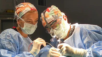 Dr. Cir. İbrahim Korhan