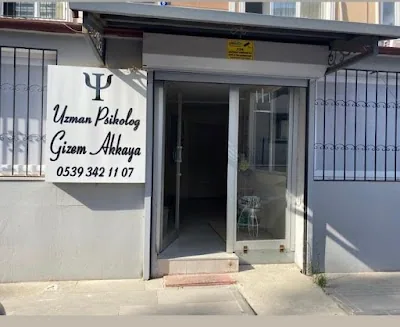 Gizem Akkaya Şaker