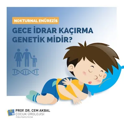 Prof. Dr. Cem Akbal
