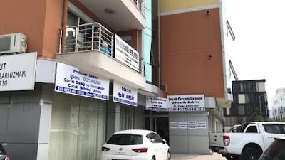 Prof. Dr. İpek Özunan