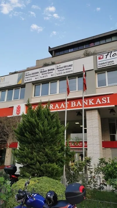 Prof. Dr. Babür Dora