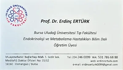 Prof. dr Erdinç Ertürk Endokrinoloji