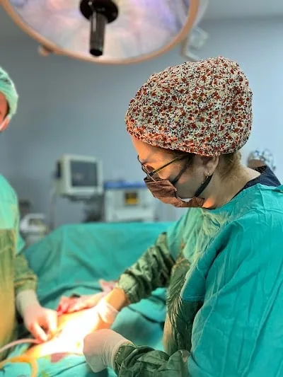 د. جراح Ayşe Arduçoğlu Merter