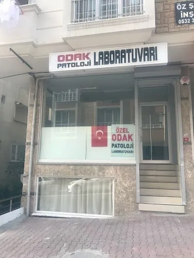 ODAK PATOLOJİ LABORATUVARI