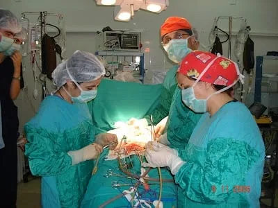 Prof. Dr. Teoman Coşkun