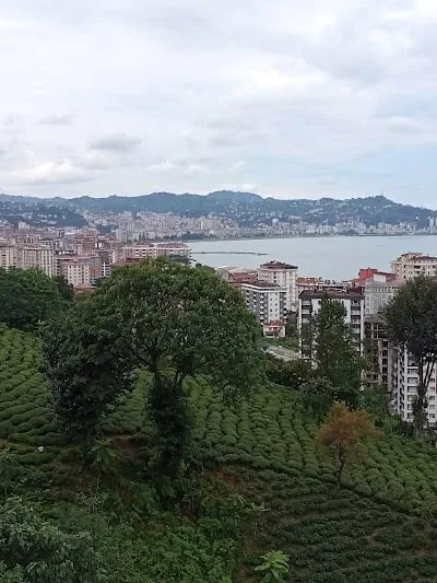 Rize Eğitim Ve Araştırma Hastanesi Acil Servis Girişi