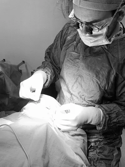 Prof. Altuğ Çetinkaya