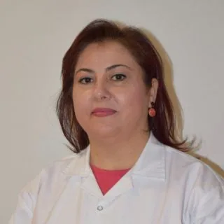 بروفيسور Didem Arslan