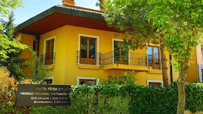 Prof. Figen Ateşci Psikiyatri
