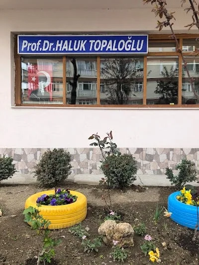Prof. dr Haluk Aydın Topaloğlu