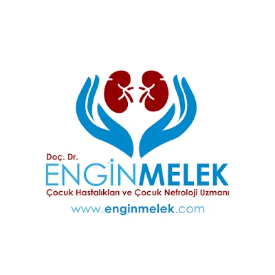 Prof. Asoc. Engin MELEK